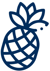 ananas_Obszar roboczy 1